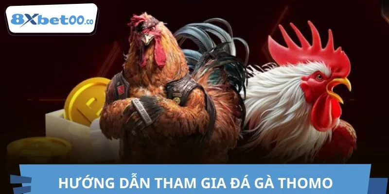 Cách đăng ký để đặt cược đá gà cực kỳ đơn giản