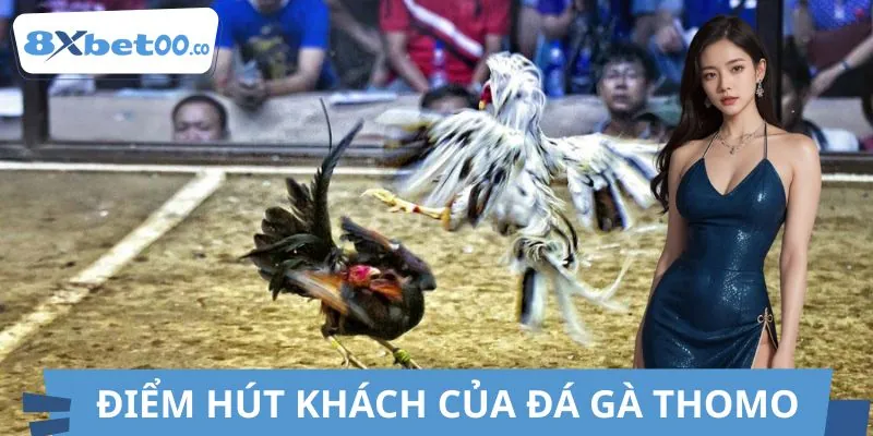 Tần suất thi đấu liên tục giúp người chơi không phải chờ đợi