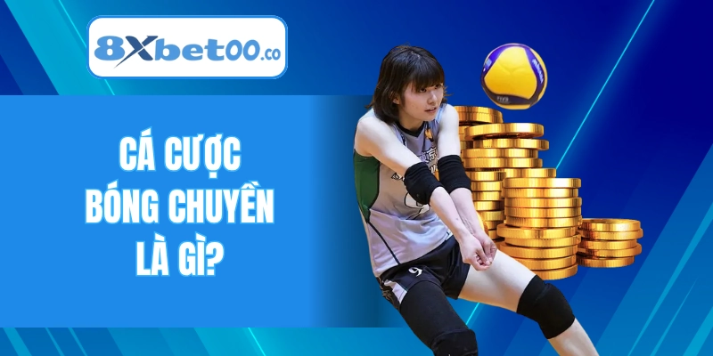 Cá cược bóng chuyền là gì?